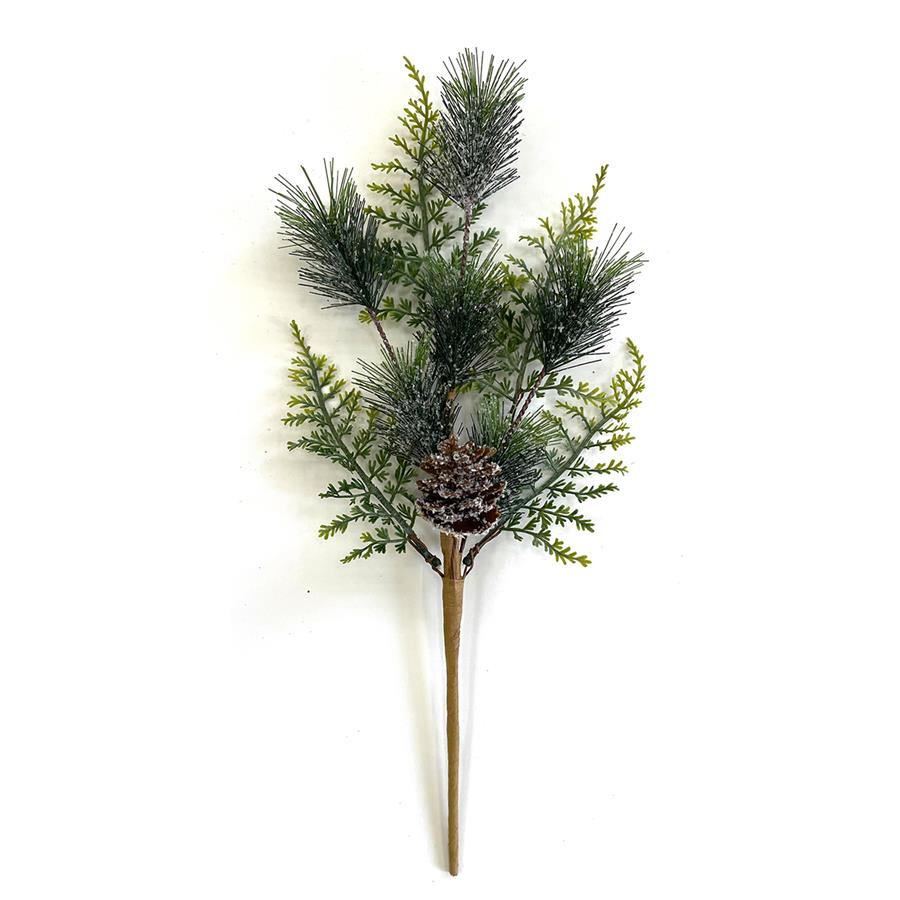 Snow pine needles pine cones pick