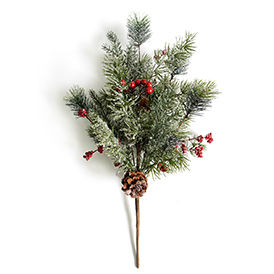 Red pine cone bush
