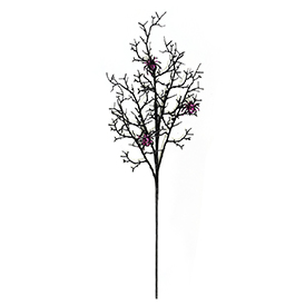 Purple spider spray