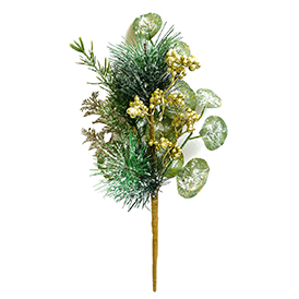 Golden berry pick