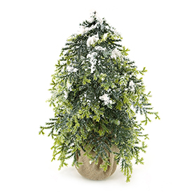 Snow small tree