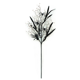 Black spider and white berries spray