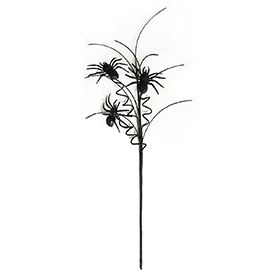 Black spider stem