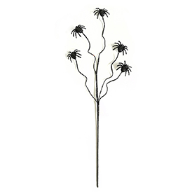 Spider spray