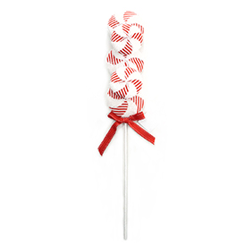 Red and white striped lollipop stem