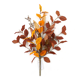 Beech Leaves pick
