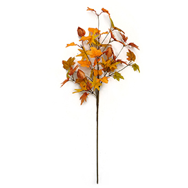 Physalis peruviana maple leaf spray