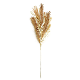 Brown stalk stem