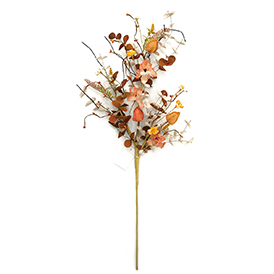 Physalis peruviana spray