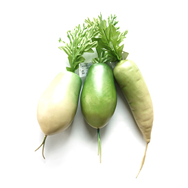 Green turnip
