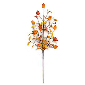 Lantern pumpkin spray