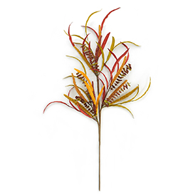 Autumn harvest spray