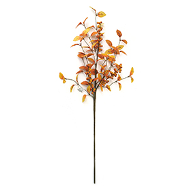 Autumn berry spray