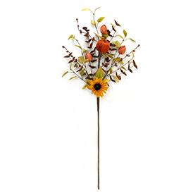 Sunflower pumpkin stem