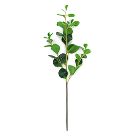 Greenery Stem