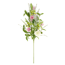Carnation Stem
