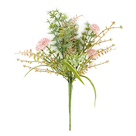 Sedum Pick