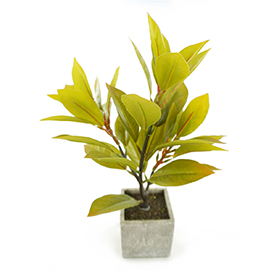 Faux Caladium Potted