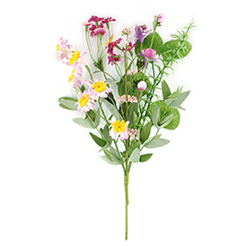 Daisy Pick