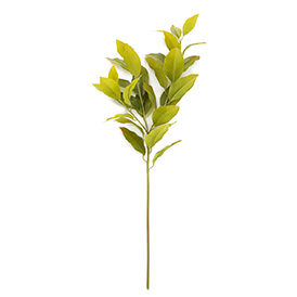 Greenery Stem