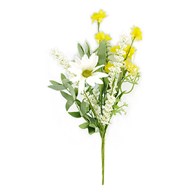 Daisy Pick