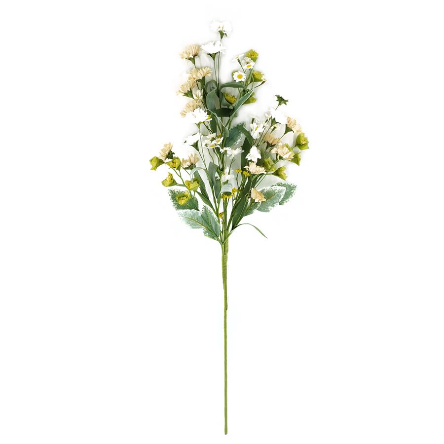 Daisy Stem