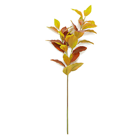 Greenery Stem