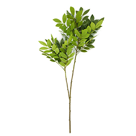 Greenery Stem