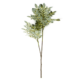 Greenery Stem