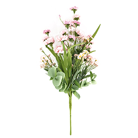 Daisy Bush
