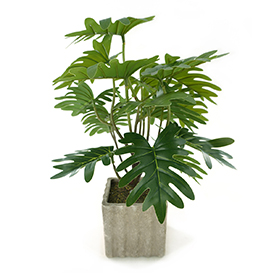 Greenery Potted