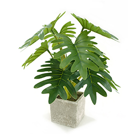 Greenery Potted