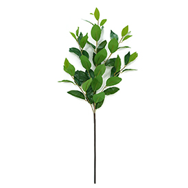 Greenery Stem