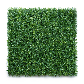 Greenery Wall (17)