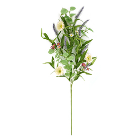 Daisy Stem