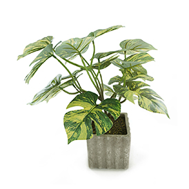 Greenery Potted