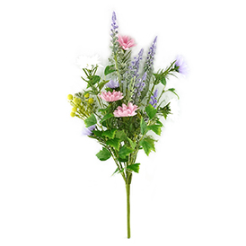 Daisy Bush