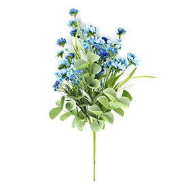 Daisy Bush