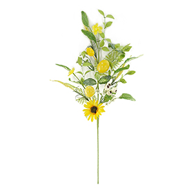 Sunflower Stem