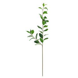 Greenery Stem