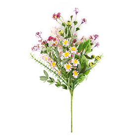 Daisy Bush