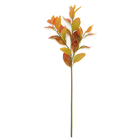 Greenery Stem