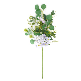 Hydrangea Stem