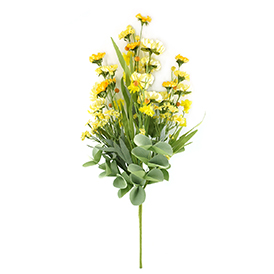 Daisy Bush