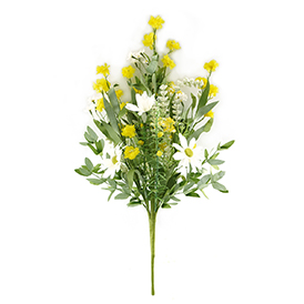 Daisy Bush