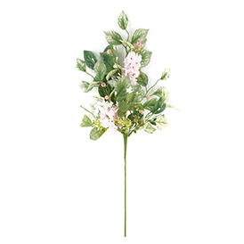 Lilac Stem