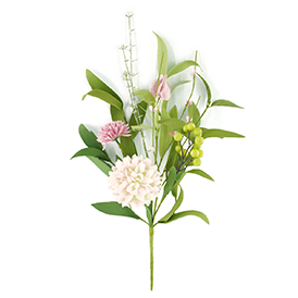 Carnation Pick