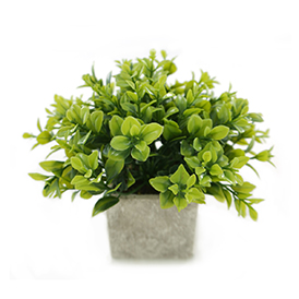 Simulation Potted