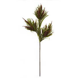 Heather Grass Stem