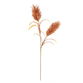 Raffia Grass Stem